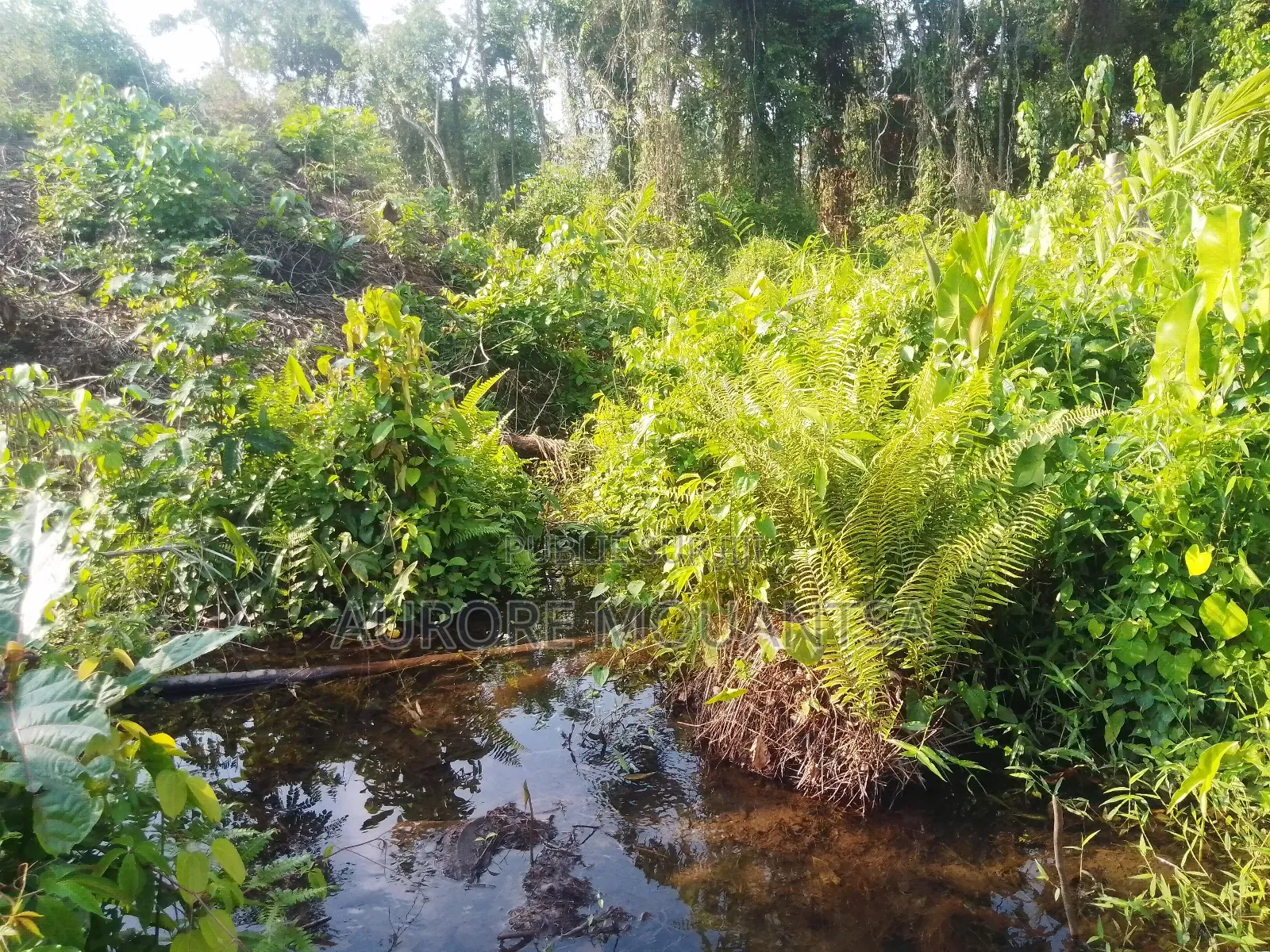 Domaine De 3 Hectares