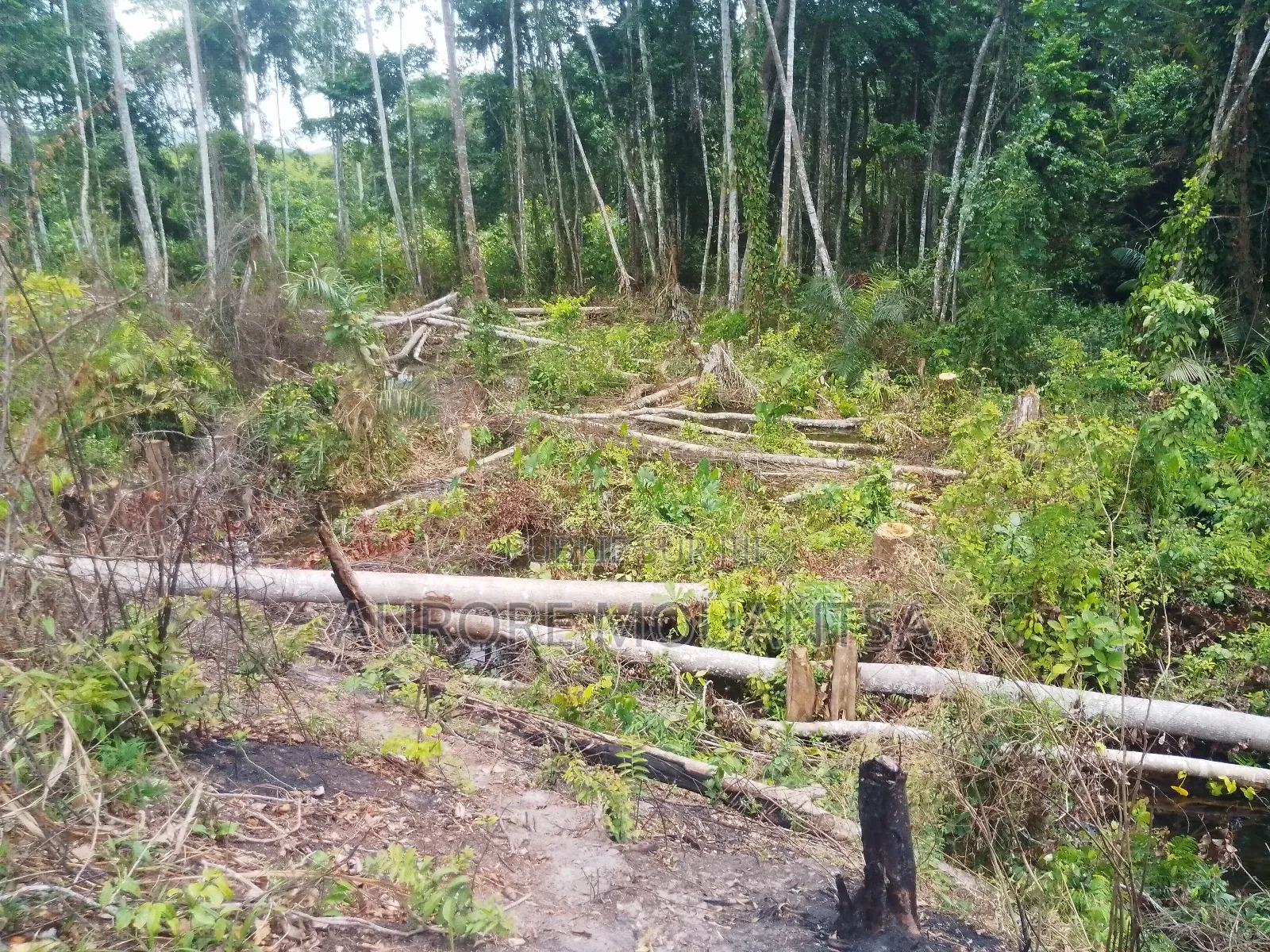 Domaine De 3 Hectares