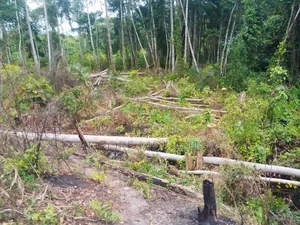 Domaine De 3 Hectares