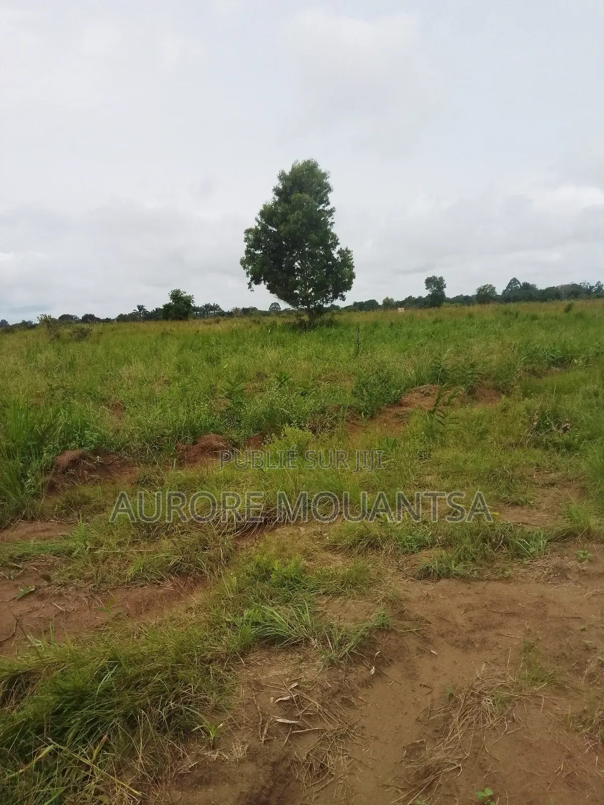 Un Bloc De 10 Parcelles