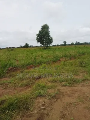 Un Bloc De 10 Parcelles