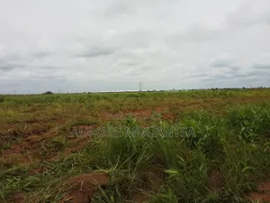 Un Bloc De 10 Parcelles
