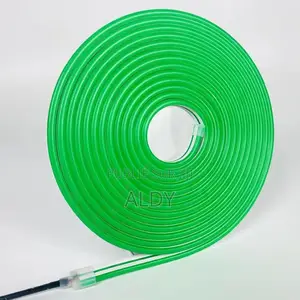 Led Lumineux Couleurs Uniques at