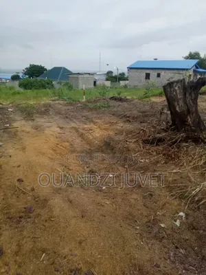 Parcelle À Vendre À Kintelé. Qtier Ngambamou