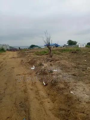 Parcelle À Vendre À Kintelé. Qtier Ngambamou