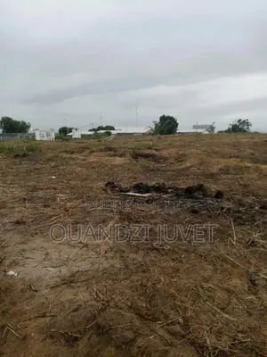 Parcelle À Vendre À Kintelé. Qtier Ngambamou