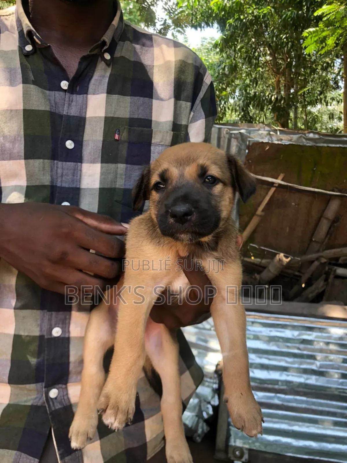 0-1 mois Homme Race mixte Autre