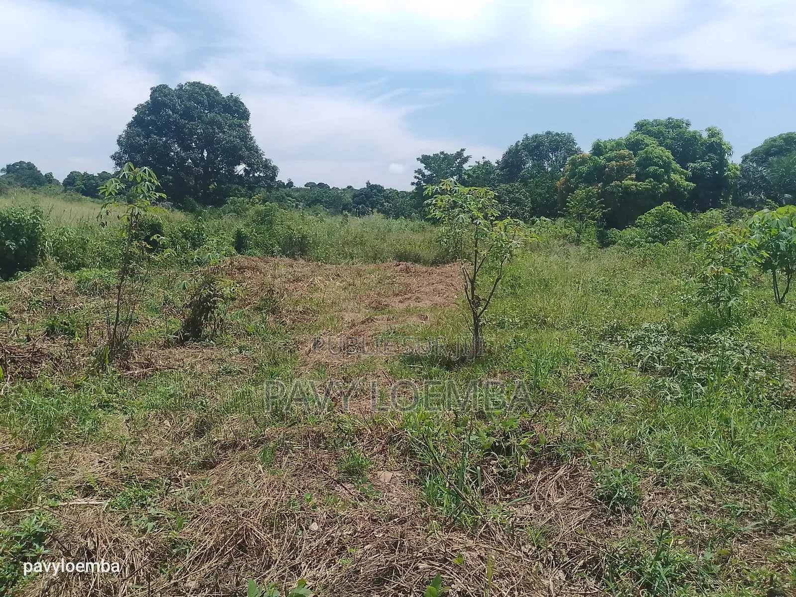 Terrain Vide À Vendre