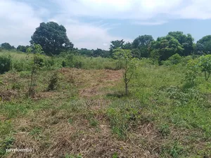 Terrain Vide À Vendre