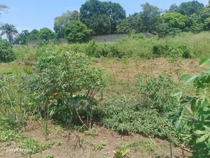 Terrain Vide À Vendre