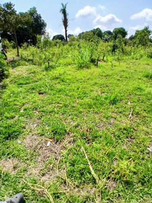 D'emi Parcelle À Vendre