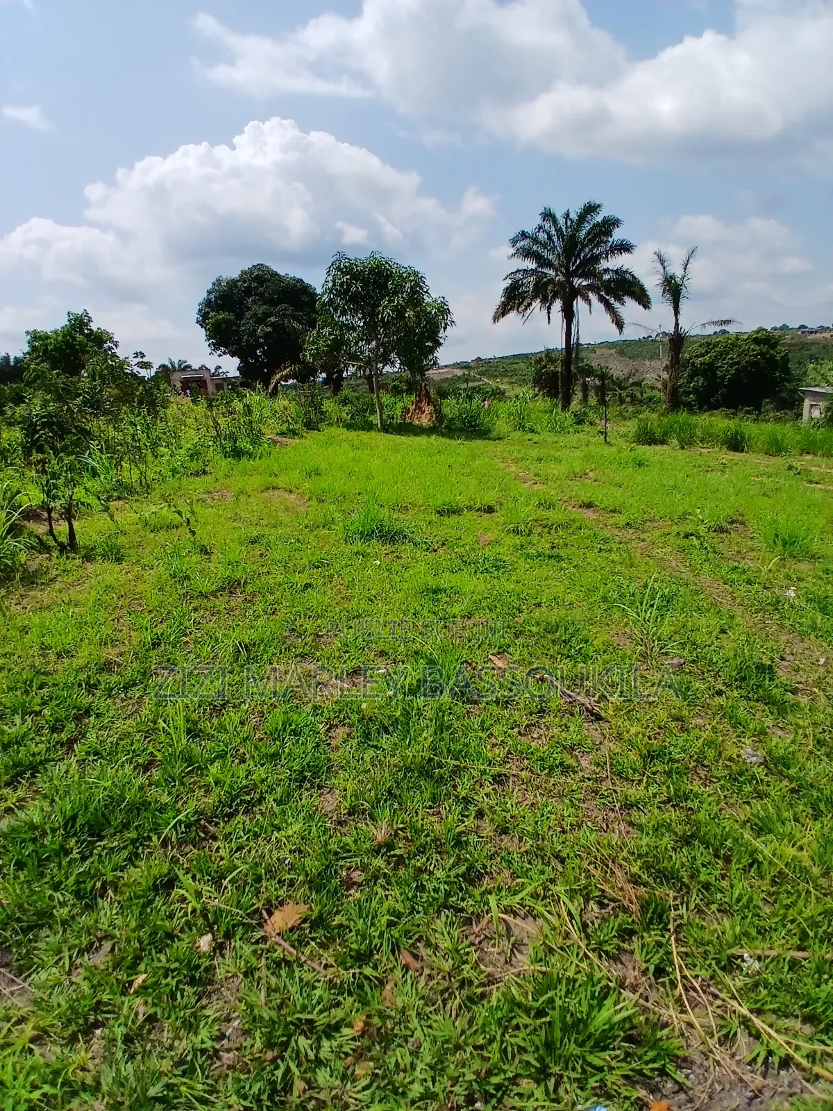 D'emi Parcelle À Vendre