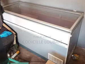 Vende d'Un Congélateur Commercial Et Domestique De 610 Litres