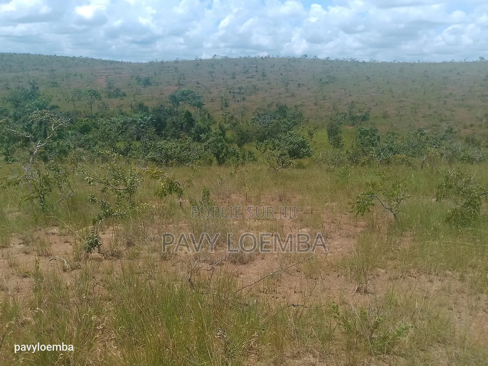 59 Hectares À Vendre