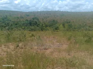 59 Hectares À Vendre