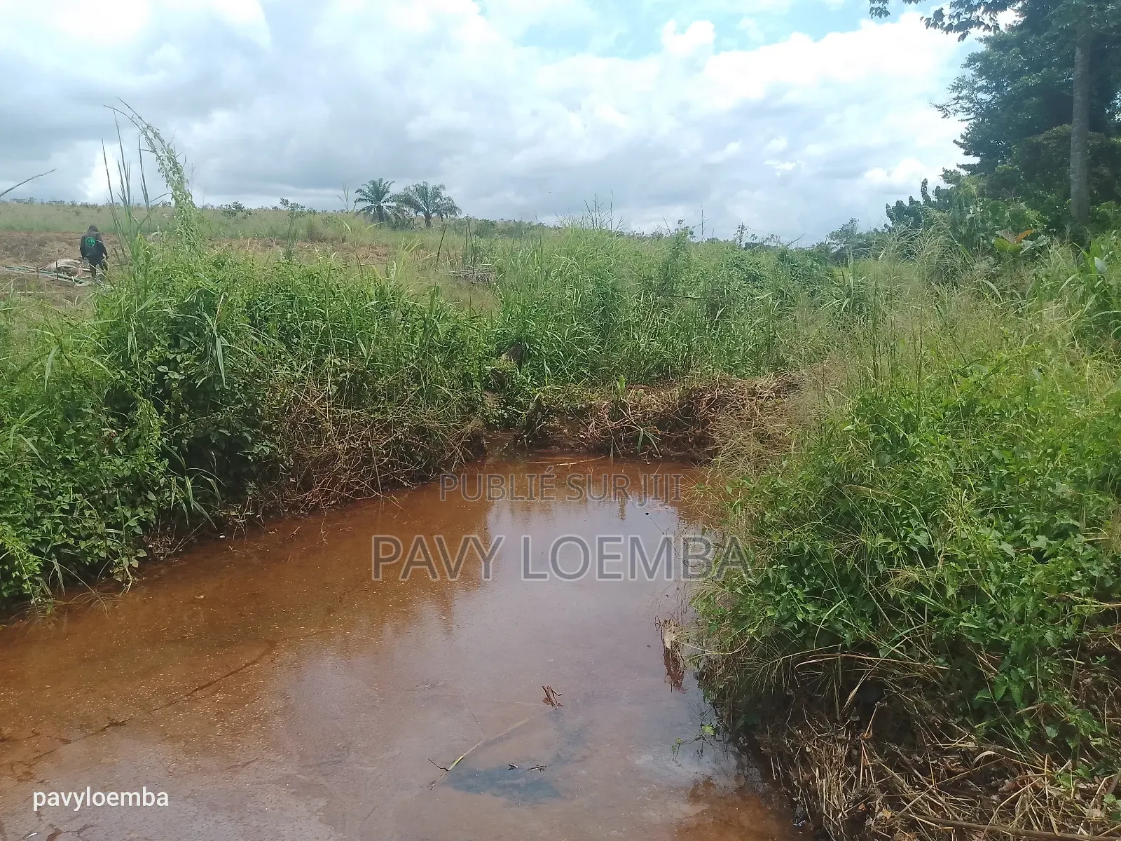59 Hectares À Vendre