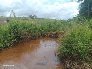 59 Hectares À Vendre
