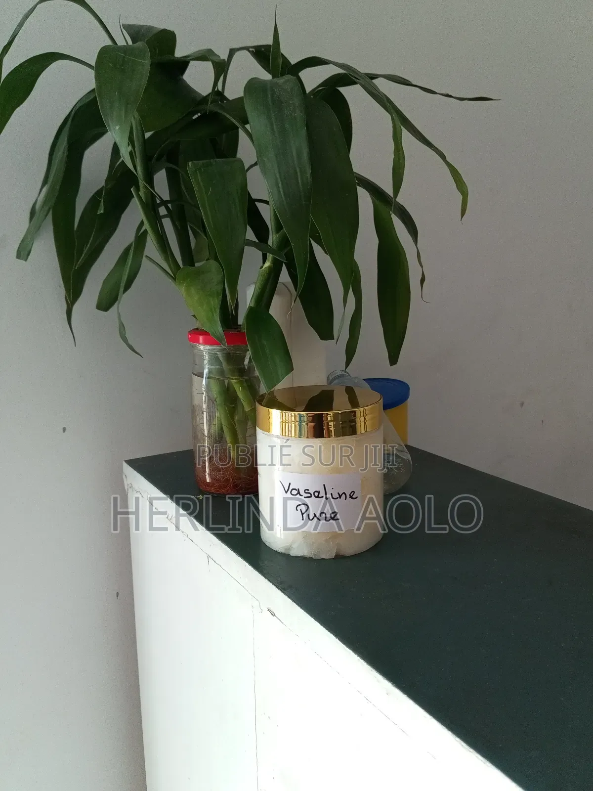 Les Intrants Cosmétiques