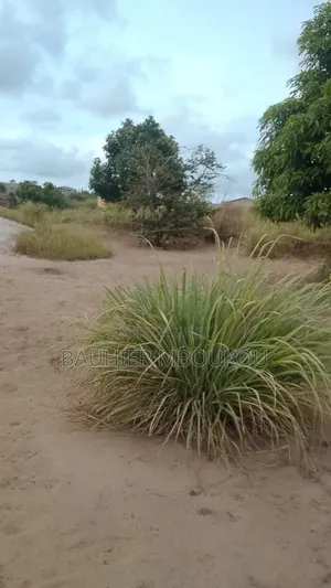 Parcelles À Débattre