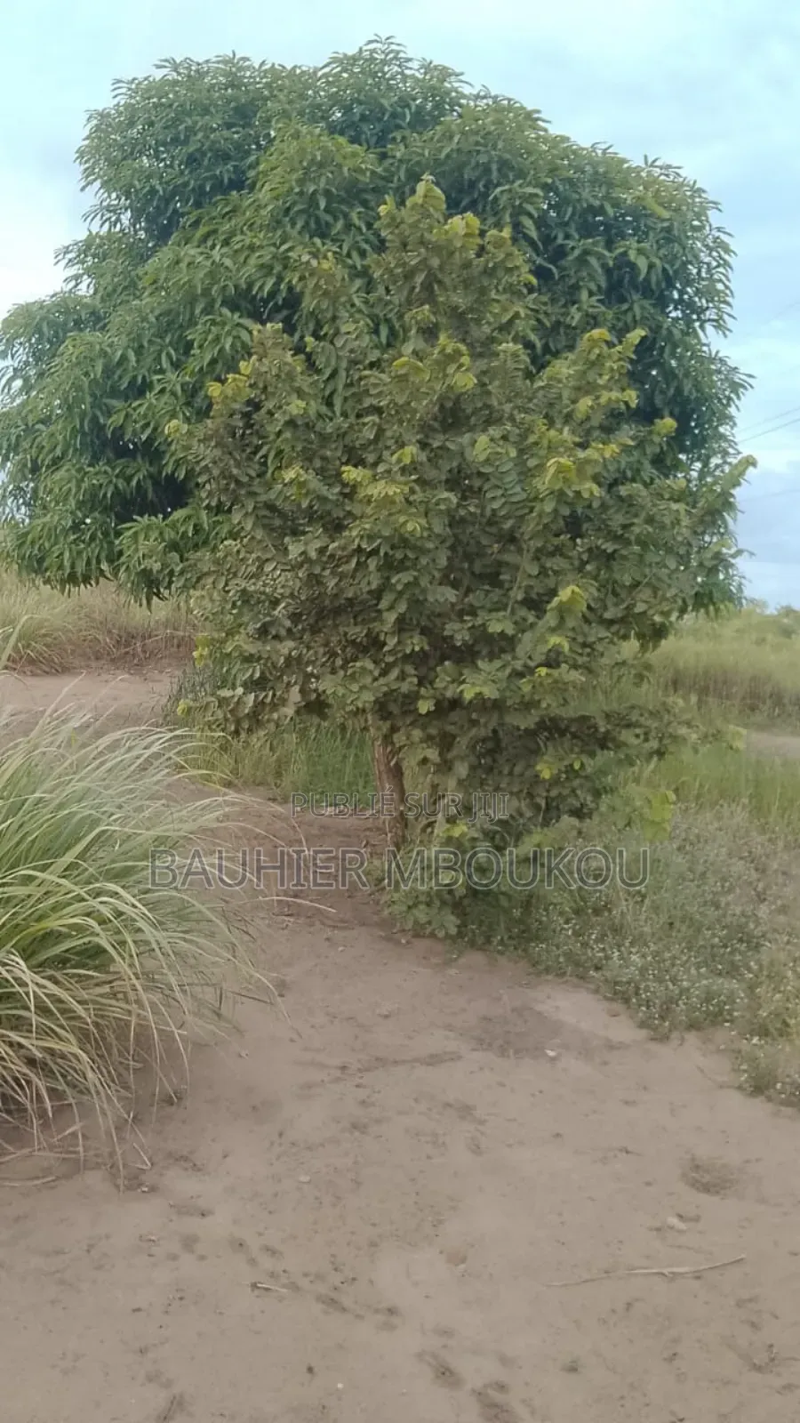 Parcelles À Débattre