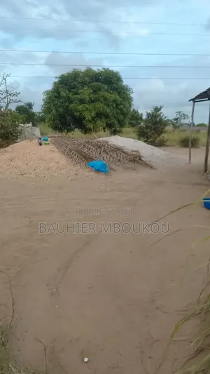 Parcelles À Débattre
