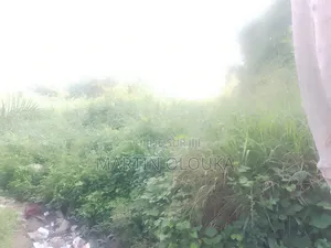 Terrain À Vendre 1 Parcelle Et Demi