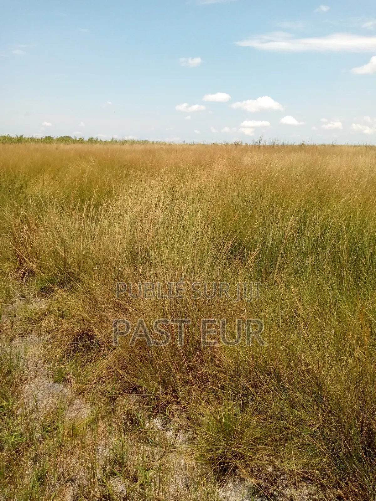 Hectares Bon Prix a Ignié Pk 45