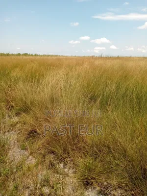 Hectares Bon Prix a Ignié Pk 45