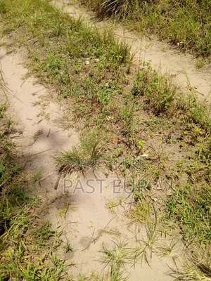 Hectares Bon Prix a Ignié Pk 45