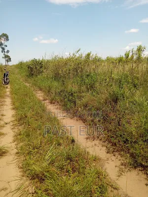 Hectares Bon Prix a Ignié Pk 45