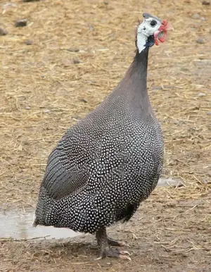 La Fondation Miller Vous Offres Ses Qualités