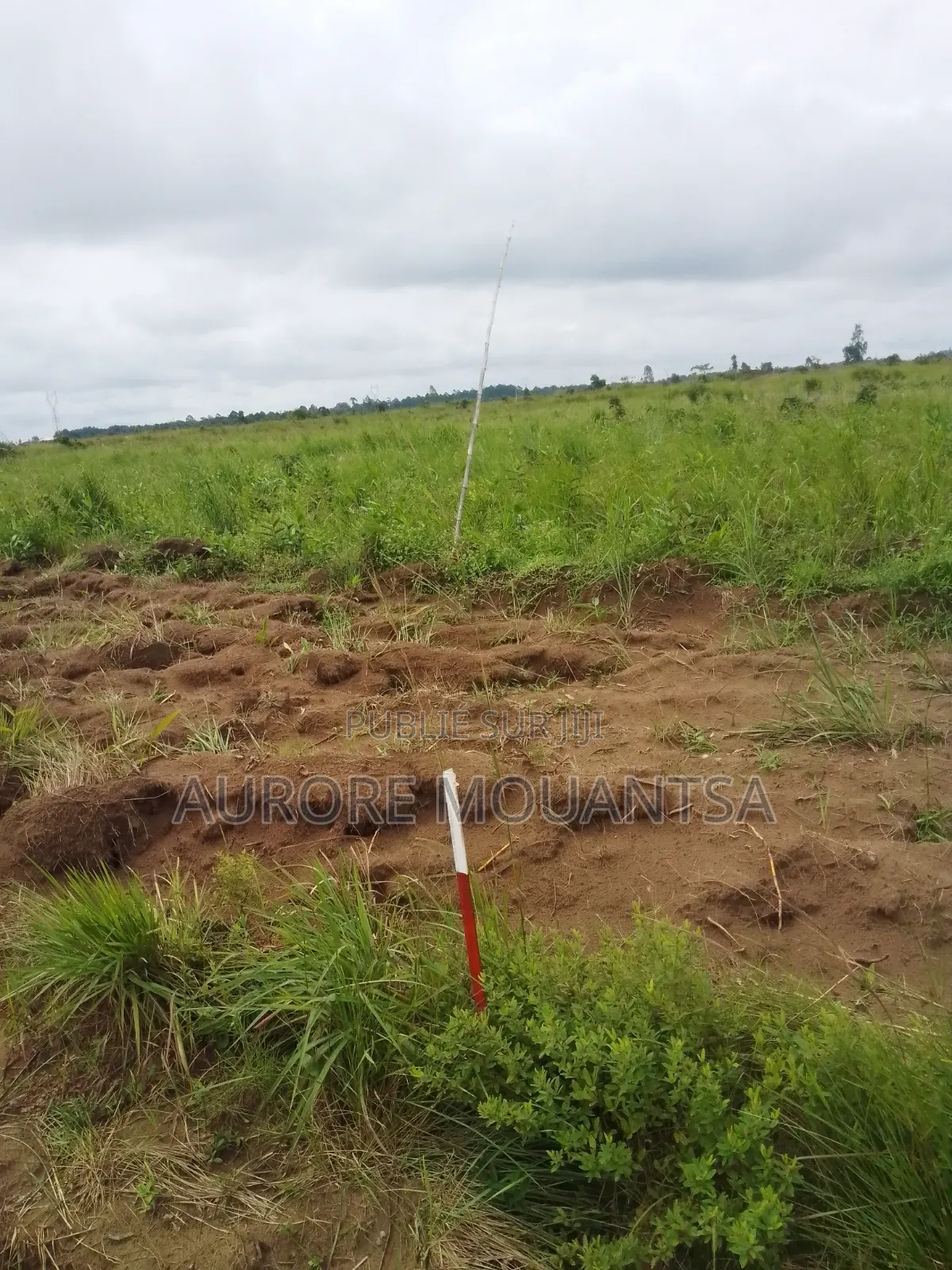 Un Bloc De 10 Parcelles Avendre