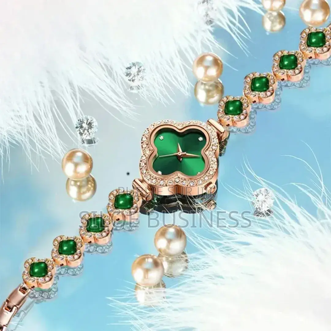 Montre Luxe Pour Dames
