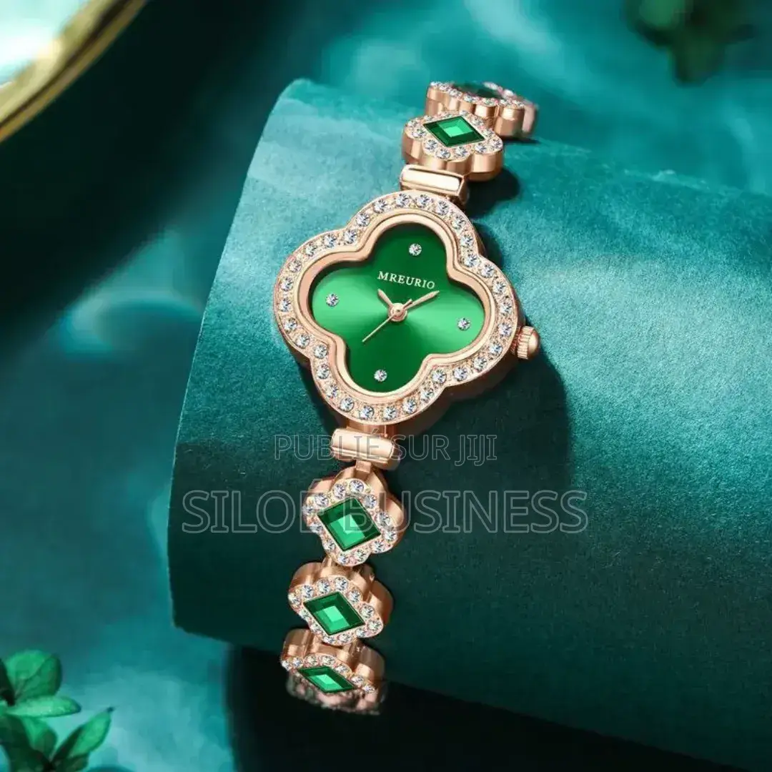 Montre Luxe Pour Dames