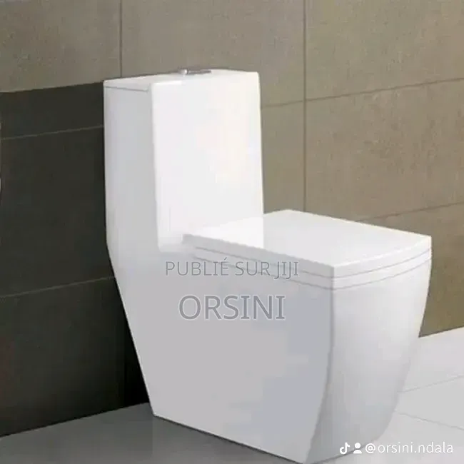 Wc Couleur Blanc État Neuf