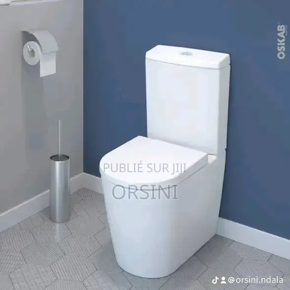 Wc Couleur Blanc État Neuf