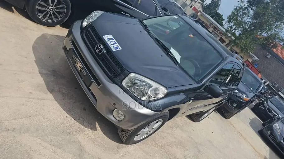Toyota RAV4 2005 Gris