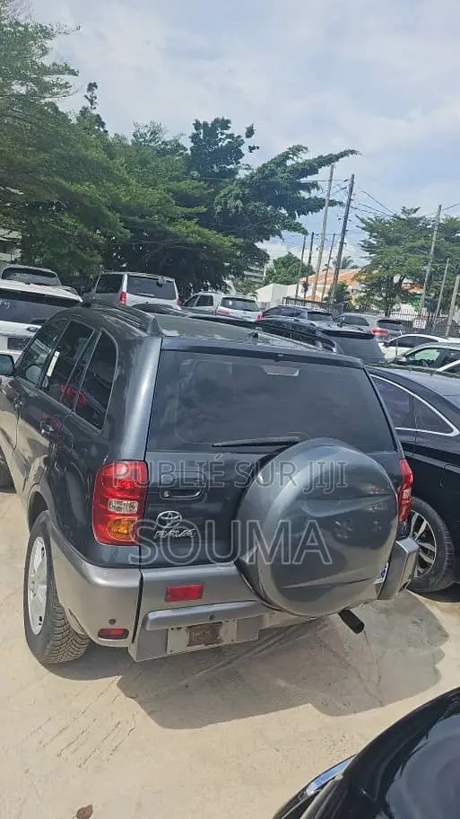 Toyota RAV4 2005 Gris