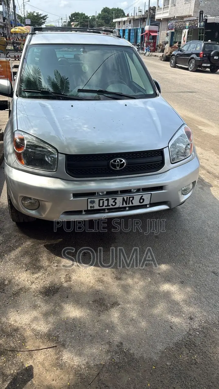 Toyota RAV4 2005 Gris