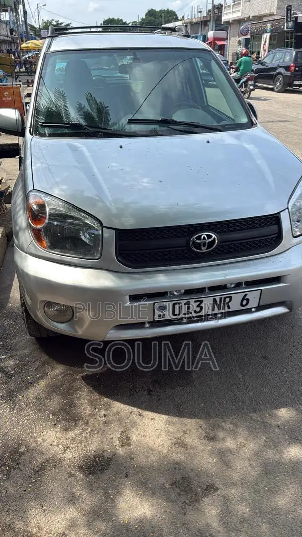 Toyota RAV4 2005 Gris