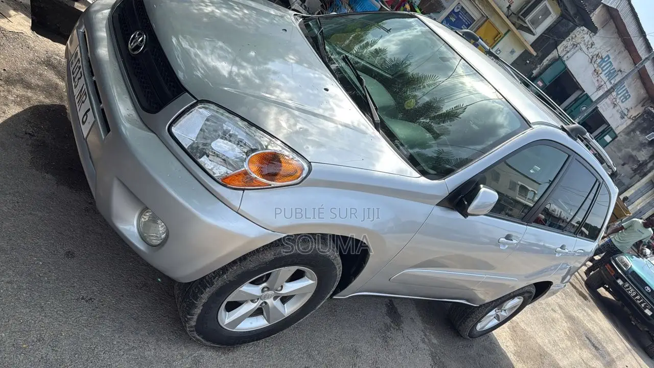 Toyota RAV4 2005 Gris