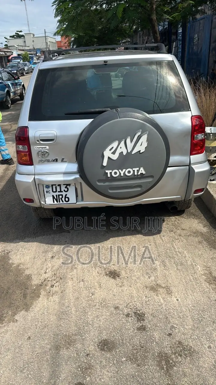Toyota RAV4 2005 Gris