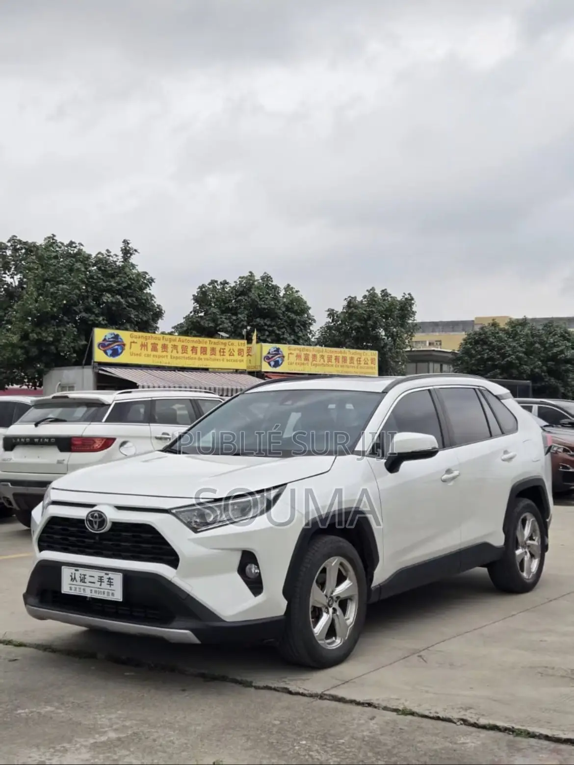 Toyota RAV4 2020 Blanc