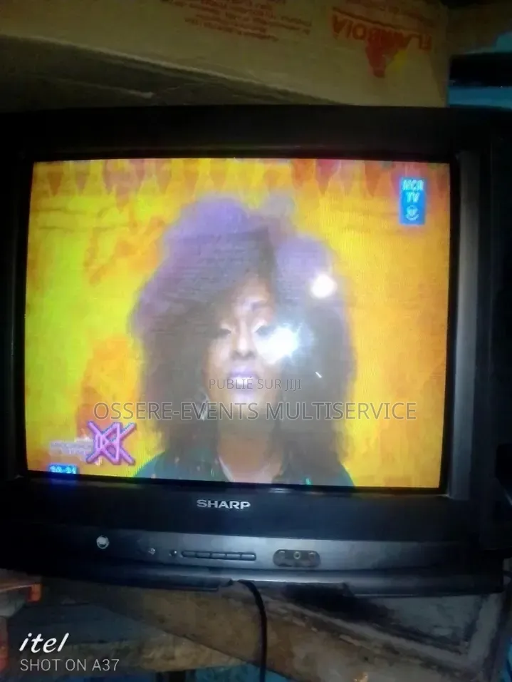 Télévision Sharp 12 Pousse Disponible