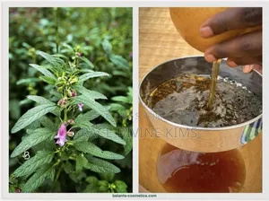 l'Huile Et Shampoing D Ambunu