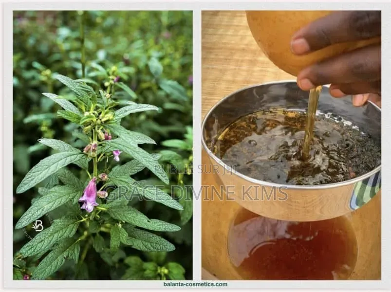 l'Huile Et Shampoing D Ambunu