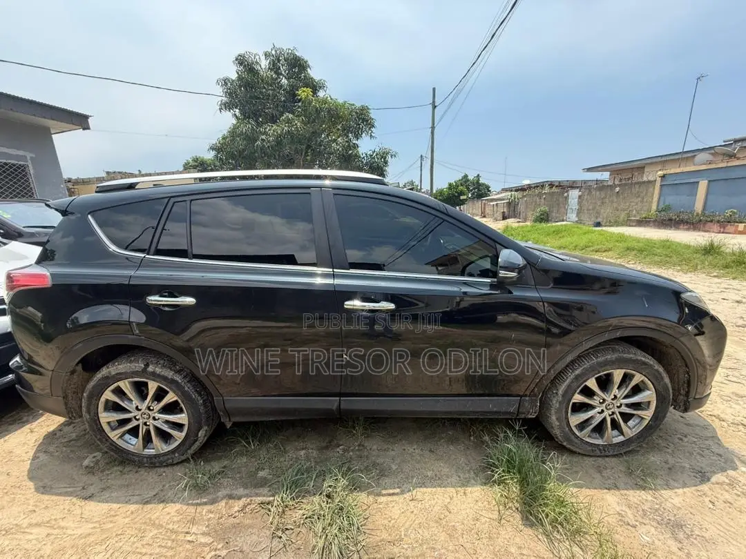 Toyota RAV4 2018 Noir