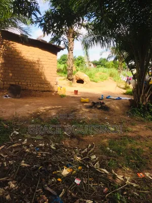 Parcelle À Vendre À Nganga Lingolo Après Le Péage Zone Kelé Kelé