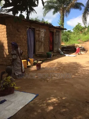Parcelle À Vendre À Nganga Lingolo Après Le Péage Zone Kelé Kelé