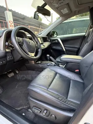 Toyota RAV4 Limited AWD (2.5L 4cyl 6A) 2016 Gris